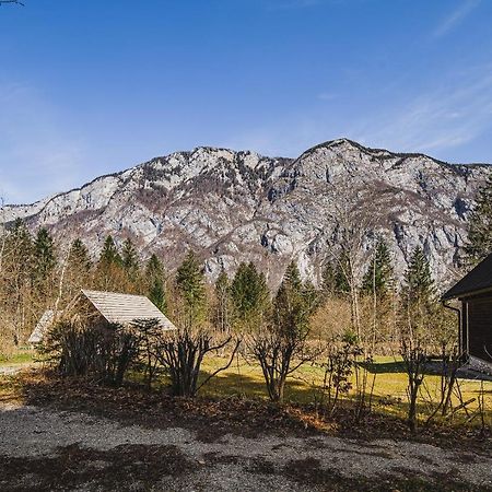 Holiday Home Kozorog 博希尼 外观 照片