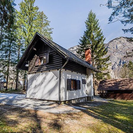 Holiday Home Kozorog 博希尼 外观 照片