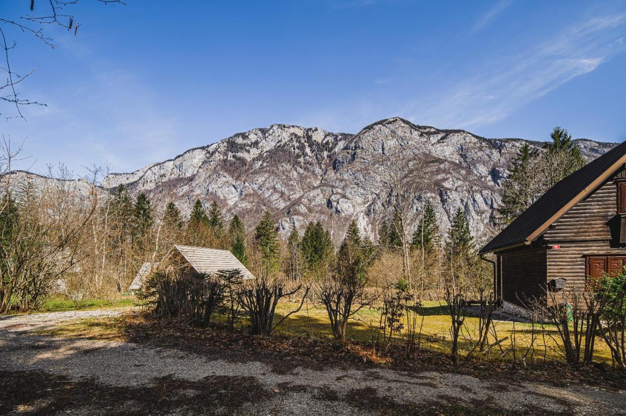 Holiday Home Kozorog 博希尼 外观 照片