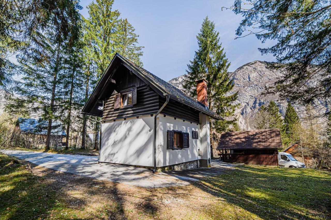 Holiday Home Kozorog 博希尼 外观 照片