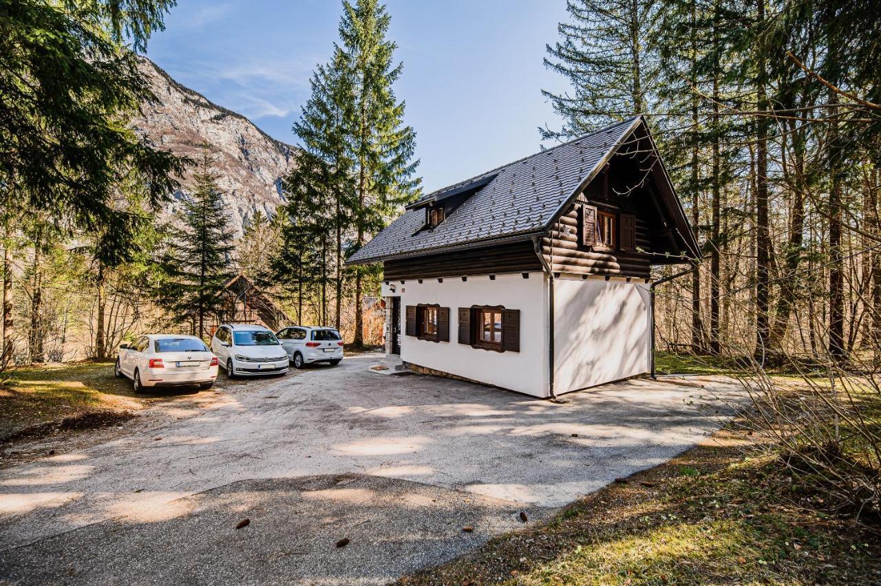 Holiday Home Kozorog 博希尼 外观 照片